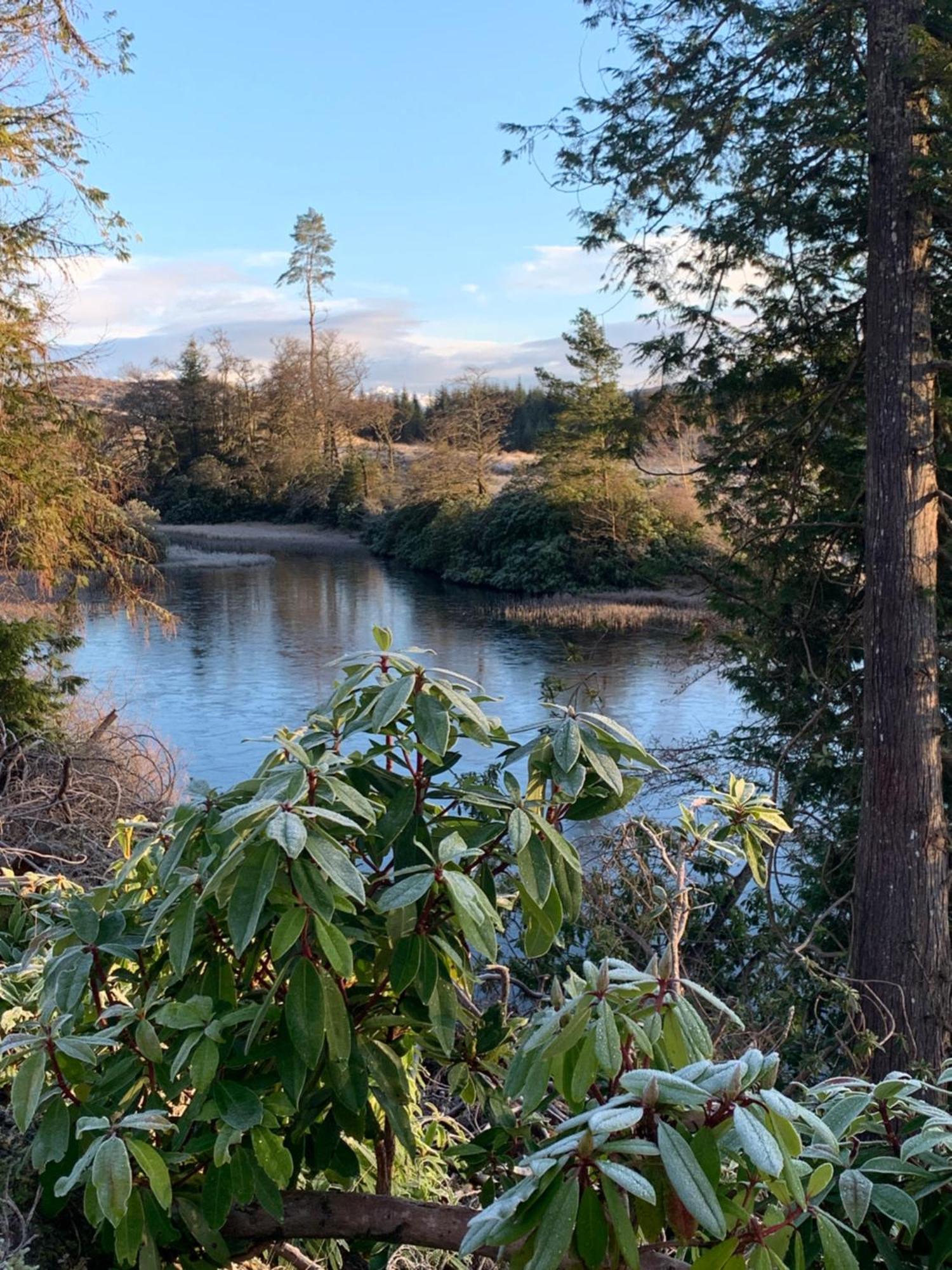 Tawny Owl Pod With Hot Tub Villa Oban Exterior photo